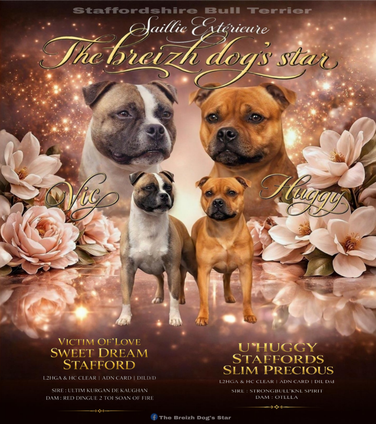 Saillie Extérieure 2026